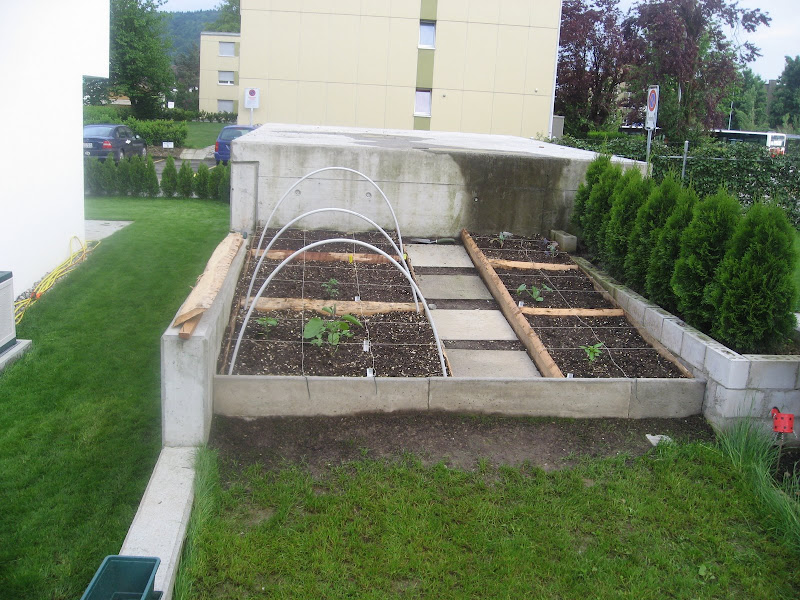 Organic Vegetable Gardening with Square Foot Gardening Technique